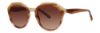 Picture of Vera Wang Sunglasses V608