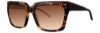 Picture of Vera Wang Sunglasses V611