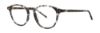 Picture of Vera Wang Eyeglasses V585