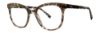 Picture of Vera Wang Eyeglasses V584