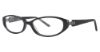 Picture of Via Spiga Eyeglasses Sonia