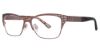 Picture of Via Spiga Eyeglasses Sebastiana