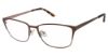 Picture of Vision's Eyeglasses 236