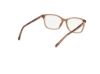 Picture of Viva Eyeglasses VV50010