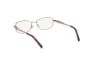 Picture of Viva Eyeglasses VV50007