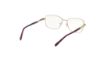 Picture of Viva Eyeglasses VV50009