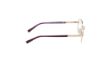 Picture of Viva Eyeglasses VV50009