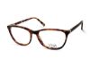 Picture of Viva Eyeglasses VV4525