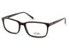 Picture of Viva Eyeglasses VV4044