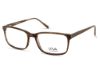 Picture of Viva Eyeglasses VV4044