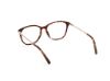 Picture of Viva Eyeglasses VV4516