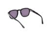 Picture of Web Sunglasses WE0370