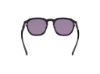 Picture of Web Sunglasses WE0370