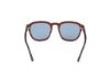 Picture of Web Sunglasses WE0370