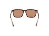 Picture of Web Sunglasses WE0369