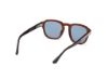 Picture of Web Sunglasses WE0370
