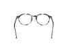 Picture of Web Eyeglasses WE5427
