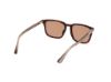 Picture of Web Sunglasses WE0369