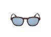 Picture of Web Sunglasses WE0370