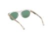Picture of Web Sunglasses WE0372