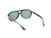 Picture of Web Sunglasses WE0368