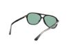 Picture of Web Sunglasses WE0368