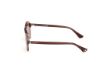 Picture of Web Sunglasses WE0368