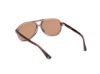 Picture of Web Sunglasses WE0368