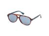 Picture of Web Sunglasses WE0368