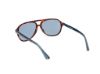 Picture of Web Sunglasses WE0368