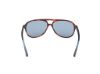 Picture of Web Sunglasses WE0368