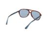 Picture of Web Sunglasses WE0368