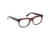 Picture of Web Eyeglasses WE5425