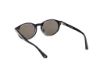 Picture of Web Sunglasses WE0337