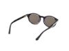 Picture of Web Sunglasses WE0337