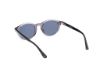 Picture of Web Sunglasses WE0337