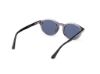 Picture of Web Sunglasses WE0337