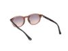 Picture of Web Sunglasses WE0337