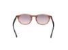 Picture of Web Sunglasses WE0337