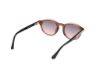 Picture of Web Sunglasses WE0337