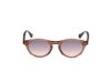 Picture of Web Sunglasses WE0337