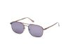 Picture of Web Sunglasses WE0341