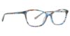 Picture of Xoxo Eyeglasses Montpellier