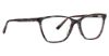 Picture of Xoxo Eyeglasses Evergreen