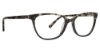 Picture of Xoxo Eyeglasses Toledo