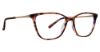 Picture of Xoxo Eyeglasses Cordova