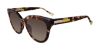 Picture of Yalea Sunglasses SYA103