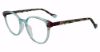 Picture of Yalea Eyeglasses VYA063L