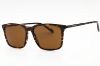 Picture of Zeiss Sunglasses ZS23716S