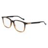 Picture of Zeiss Eyeglasses ZS22524